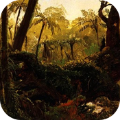 audiobook: The Jungle Book by Rudyard Kipling audiobook: The Jungle Book by Rudyard Kipling
